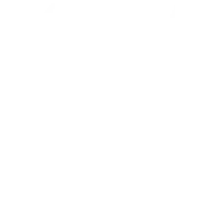Online vibration monitoring system